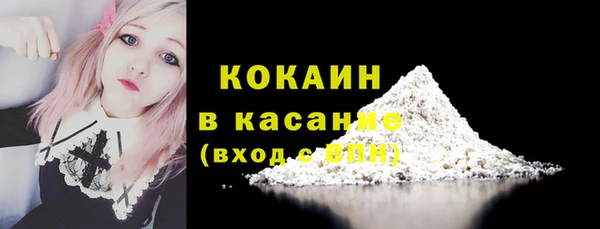 сатива Балахна
