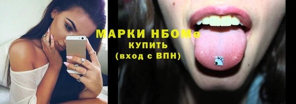 стаф Новодвинск