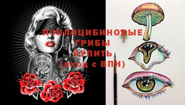сатива Балахна