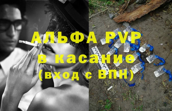 сатива Балахна