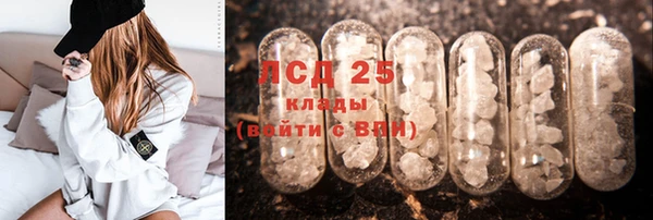 сатива Балахна