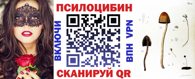 Псилоцибиновые грибы Cubensis  наркота  Губкин 